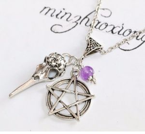 20pcs/lot Vintage Antique Silver Bird Crow Skull Pentagram star Charms Pendant Chain Necklace