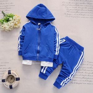 2018 Lente Herfst Baby Casual Trainingspak Jongens Meisjes Kapmantel Broek Sport 2 Stuks Kinderen Pak Katoen Bebes Kleding sets Trainingspak