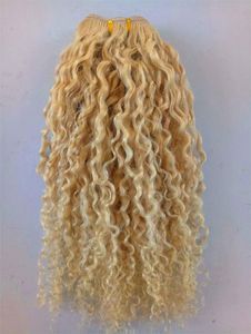 Brasilianisches menschliches Jungfrau Remy blonde Haar-lockiges Haar-Schuss-weiche doppelte Haarerweiterungen 100g ein Bündel