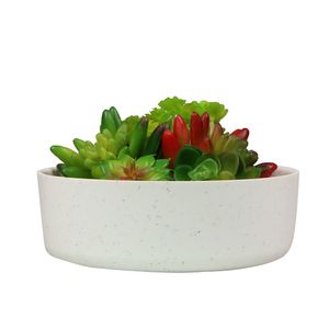 Muzhi 6,6 cm Pflanze Faser Runde Sukkulent Kaktus Pflanzgefäße, Modern Design Dekorative Garten Sukkulente Container 10pcs Moq