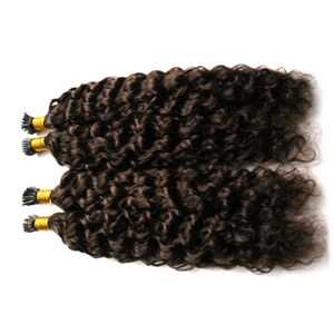 Jag Tips Curly Pre-Bonded Human Hair Buntar Peruvian Hair Extension 10-26In Naturlig färg 100% Remy Hair Free Shipping