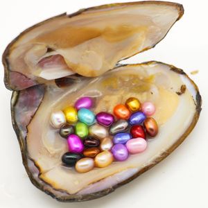 Partihandel naturliga sötvattenspärlor med ostron, 6-8mm25 blandad färg ovala pärlor packade i ostron i vakuum (gratis frakt)