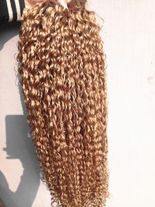 Brazilian Human Virgin Remy Kinky Curly Hair Extensions Remy Dark Blonde Color Hair Weft 2-3Bundles For Full Head