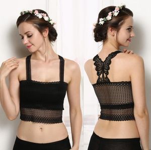 Branco Mulheres Negras Sexy Oco Lace Tops Borboleta No Peito Envolto Bandeau Tubo Tops Strap