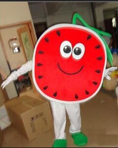 2018 Hot sale watermelon mascot costume animal cartoon costume adult children party fancy dress mascot costume free shipping