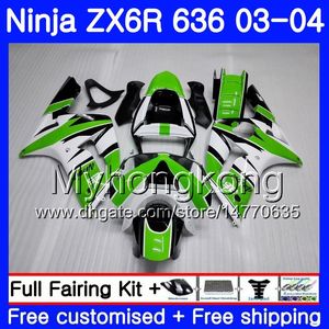 Corpo verde nuovo per KAWASAKI ZX-636 ZX600 ZX636 ZX-6R 03 04 211HM.21 bianco caldo ZX 636 6 R 600CC ZX6R 03 04 ZX 6R 2003 2004 Kit carenature