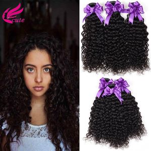 8A Grade Brasiliansk Kinky Curly Virgin Human Hair Weave 3 Bundles Obehandlade Deep Curly Hair Extensions Natural Black Kan färgas alla färger