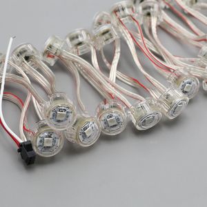 adressierbares 20-mm-LED-Pixelmodul WS2811 UCS1903 SM16703; digitales RGB-Fahrgeschäft für Vergnügungsparks, 50 Module/String, DC5V-Eingang; wasserdicht IP68