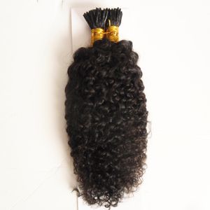 Mongolski Kinky Curly Hair I Wskazówka Rozszerzenie włosów 100g Curly Fusion Hair Extensions 100s Keratyn Pre Bonded I-Tip 10 