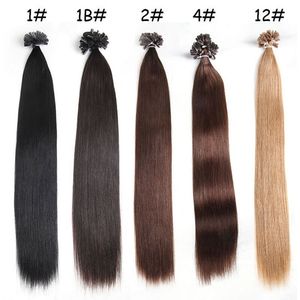 100g Pack 14-24 Inch Human Hair Extensions U Tip Remy Peruvian Straight Wave Nail Hair in 5 Colors