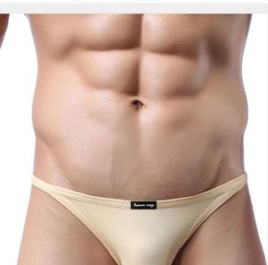 Hot Sexy Man Underkläder Lågmidja Ultra-Tunna Andningsbara Stora Briefs Underbyxor Sexiga Underkläder För Män Slip Frakt