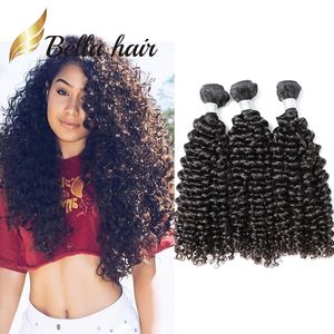 100% Grade 11A Top Grade One donor Brazilian Hair Weft Natural Color Extensions 3pcs/lot Curly Bundles Julienchina Bellahair