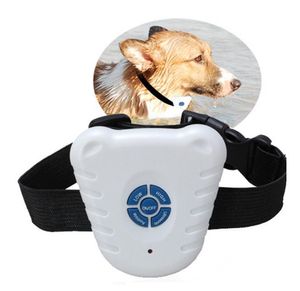 Wholesale bark collars for small dogs for sale - Group buy DHL Fedex Ultrasonic Anti Bark Stop Control Barking Dog Collar Adjustable stretch Pacakge by PP bag SN385