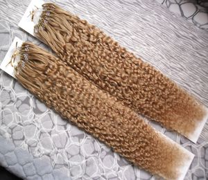 Micro loop human hair extensions 200G Micro Link Hair Extensions Human 200g micro loop hair extensions 1g curly