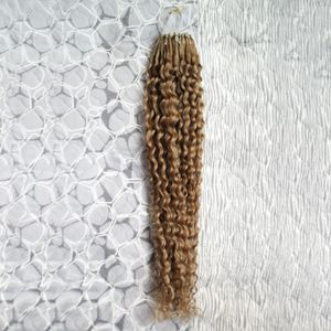 Kinky Curly Micro Loop Hair Extensions Virgin Micro Ring Hair Extensions 100g 10 