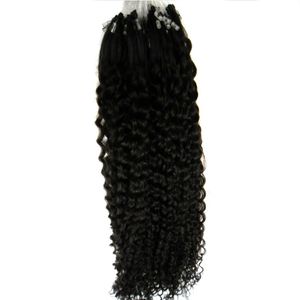 Micro Loop Ring Hårförlängningar Grade 8a + Obehandlat Virgin Brasilianskt lockigt hår 100g / pc Natural Black Kinky Curly Human Hair Extensions