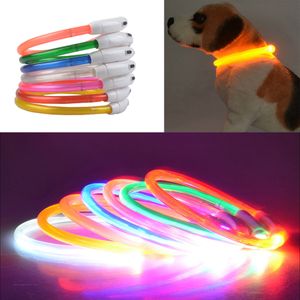 Hundkrafter USB Lysande Pet Collar LED Light USB Laddning Hundkrage Teddy Flash Collar Pet levererar grossist