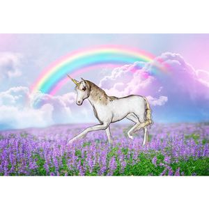 Vacker lavendel fält regnbåge unicorn bakgrund för fotografi tjocka moln nyfödda baby shower props barn fest bakgrund