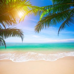Sfondo fotografico spiaggia tropicale, palme verdi, foglie, bokeh, sole, cielo azzurro e mare, matrimonio, scenografico, sfondo per cabine fotografiche