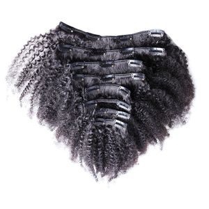 Afro Kinky Curly Clip In Human Hair Extensions 100% Pure Brazilian Human Natural Hair Clip Ins Remy Full Head Products