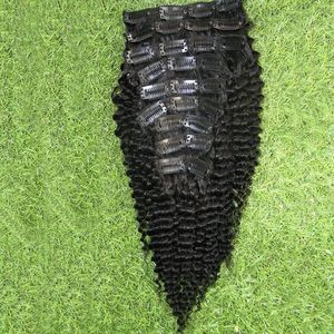 Clip In Natural Curly Brazilian Hair Extensions 100G Afro Kinky Clip In Extensions 9PCS African American Clip In Human Hair Extensions