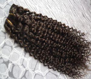 Cabelo Encaracolado Kinky brasileiro 1 Pacote Ofertas 100% Feixes de Tecer Cabelo Humano Remy Brasileira 1 Feixes Extensões de Cabelo Encaracolado Kinky