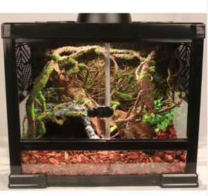 Pet Reptiles Tank Vine Climbler Jungle Forest Bend Sztuczne gałęzie Terrarium Cage Decoration Gady Habitat Ornament 120cm