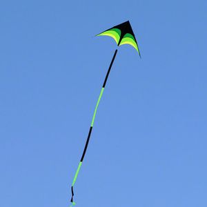 Darmowa Wysyłka Wysokiej jakości Nylon Ripstop Prairie Delta Kites 10m Ogony Piękne z uchwytem Zabawki na zewnątrz dla dzieci prezent