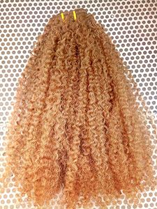Brazilian Clip In Human Virgin Kinky Curly Hair Extensions Remy Blonde Clip In Hair Extensions g One Set