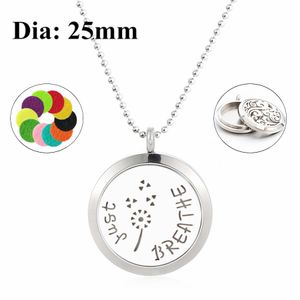 Bara andas 25mm Twist Screw Aromaterapi Essential Oil Locket 316L Stainless Steel Perfume Diffuser Halsband (Gratis 60cm kedja och dynor)