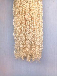 Brasiliansk mänsklig Virgin Remy Dark Blonde Hår Kinky Curly Haft Weft Soft Double Drawn Hair Extensions Obehandlade