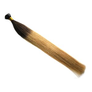 Ombre-Farbe TB/27, 1 g/s, glattes Fusion-Haar, flache Spitze, Stick-Tip, Keratin, maschinell hergestellt, vorgebundenes Echthaar, 100 g