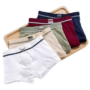 Boys Underwear Children Panties Boys Cotton Boxer Shorts Children's solid Panties Kids Underwear For 2-16 years