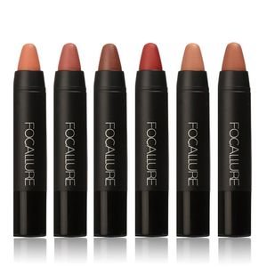 2018 Fashion New Brand FOCALLURE Lipstick Sexy Long Lasting Lip Tint Waterproof Pigment Velvet Brown Nude Matte Lipstick Pencil