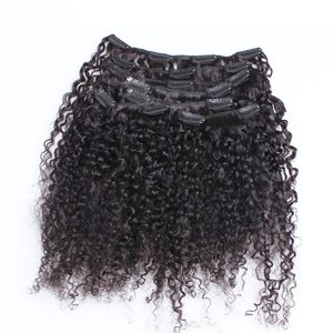 Mongolian Kinky Curly Clip In Hair Extensions 100G Afro Kinky Clip In Extensions 7 st / Set Naturlig färg