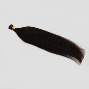 100g Straight Human Pre Bonded Fusion Hair Natural Color I Tip Stick Keratin Double Drawn Remy Hair Extension