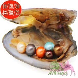 Prawdziwy luksusowy prezent Ostrygi słodkowodne 6-7mm okrągłe perły i ostrygi barwione perłowe muszle próżniowe pakowane perfect round biżuteria DIY