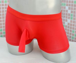 5 färger nyhet mens påse trosor sexiga sheer mesh briefs manlig tunna andningsbara underkläder trosor komfort mjuka män boxer shorts