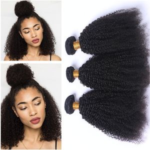 Tessitura dei capelli umani vergini malesi all'ingrosso Afro crespo ricci vergini capelli umani Remy fasci di tessuto 4 pezzi / lotto estensioni dei capelli ricci afro