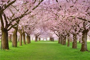 Pink Cherry Blossom Trees Wedding Floral Backdrops Photography Printed Spring Flowers Green Grass Nature Scenic Kids Photo Background