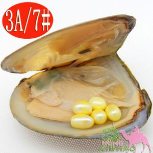 2018 Party Surprise Gift Fashion Glamour Freshwater Pearl Oyster 6-8mm Elliptical Pearl & Oyster Vacuum Packaging Bulk Wholesale