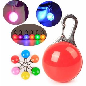 Animal de Estimação Levou Luz Cão Gato À Prova D 'Água Cão Iluminado Gola de Segurança Noite Luzes Andando ID Tags Pet Dog Pingentes Piscando Led colar