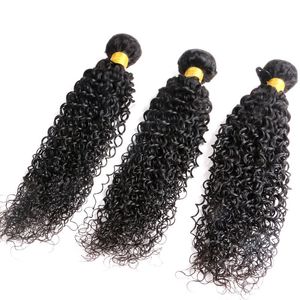 未処理の人間の髪の毛織りバージンブラジルの髪の束ジェリーカーリーWefts Peruvianインドのマレーシアのモンゴルの髪の拡張