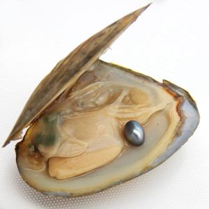Partihandel kvalitet naturlig sötvatten triangel pärla ostron, en oval färg # 4 (grå) pärla i ostron (gratis frakt)