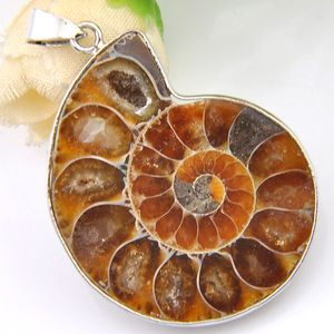 Luckyshine 2 Adet / grup Noel 925 ayar gümüş Basit Tasarım antik yollar geri Ammonite Fosil kolye için lady hediye 31 * 41mm