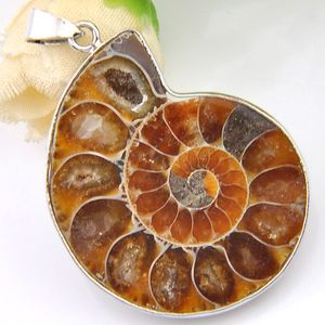 Luckyshine 2PCS /ロットクリスマス925テラリングシルバーシンプルなデザインの古代の方法Ammonite Fossil Pendant for Lady Gift 31 * 41mm