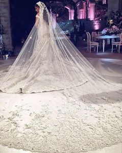 Luxury Wedding Veils With Lace Applique Long Cathedral Length Bridal Veils One Layers Custom Made Tulle Bridal Veil With Comb