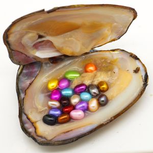 Partihandel 2018 Ny sötvatten oval pearl oyster, pärla 6-8mm21 blandad färg i ostron sötvattenuppfödning (gratis frakt)