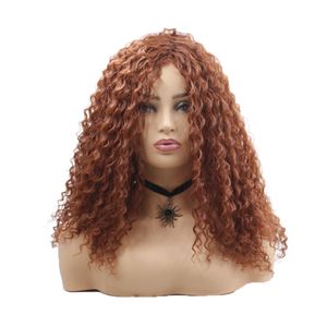 Perucas sintéticas Long Afro Kinky Curly Hair Wig Marrom escuro para mulheres negras Penteado Africano Fibra de alta temperatura