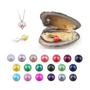 Commercio all'ingrosso 2019 fai da te Akoya Oyster Pearl 6-8MM perla rotonda in ostriche Akoya Oyster Shell con perle colorate gioielli sottovuoto A-1006